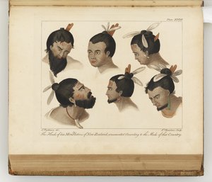 Huvuden på sex män, illustration från A journal of a voyage to the South Seas: in His Majestys ship, the Endeavour, 1794 (handkolorerad gravyr)